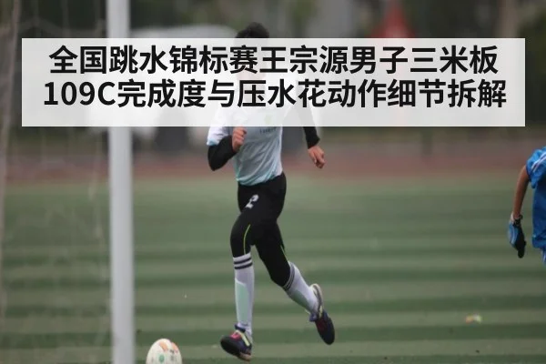 全国跳水锦标赛王宗源男子三米板109C完成度与压水花动作细节拆解
